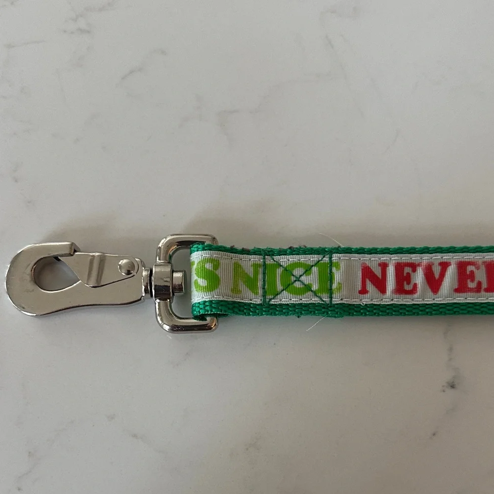 Never Naughty, Always Nice Dog Leash